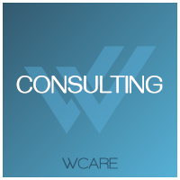 컨설팅-설비점검